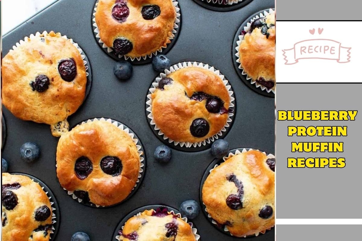 Blueberry Protein Muffin Recipes