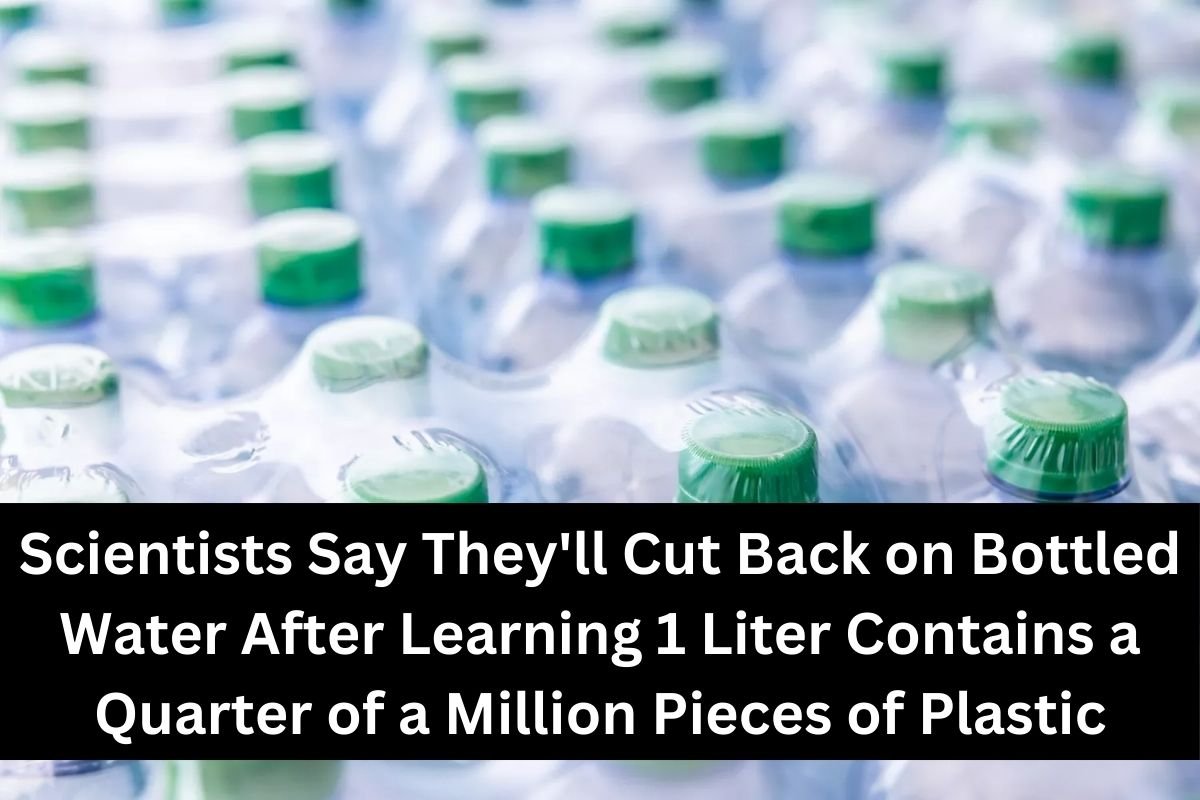 Scientists Say They'll Cut Back on Bottled Water After Learning 1 Liter Contains a Quarter of a Million Pieces of Plastic